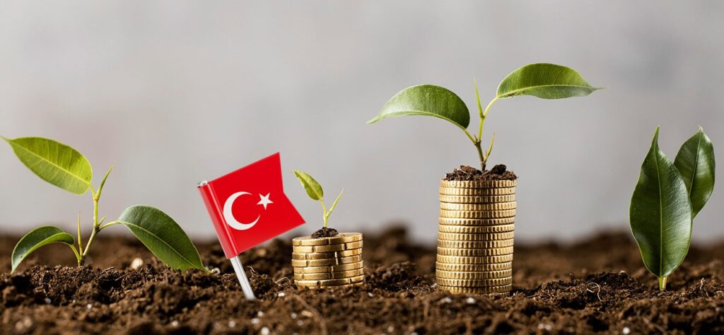 Real estate and residential investment